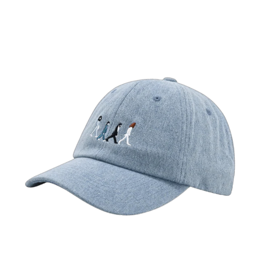 Denim embroidered baseball hat